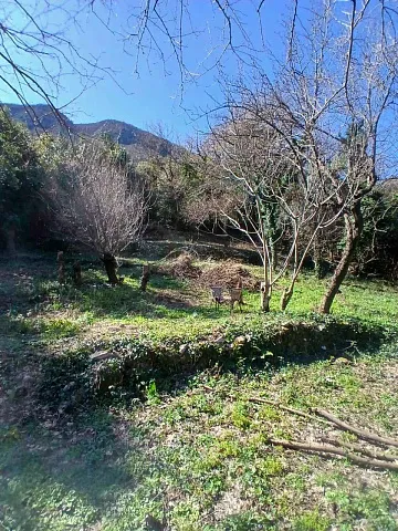 For Sale: Prime Waterfront Plot in Stoliv, Kotor – 2,200 m² — photo 6